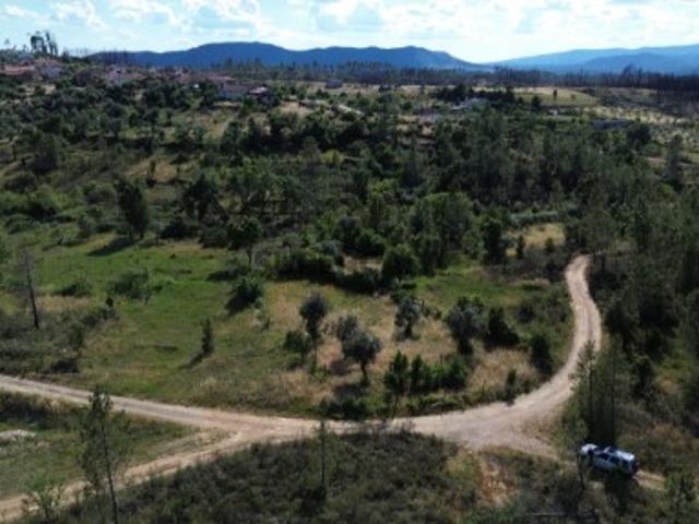 Terreno venda em Castelo Branco