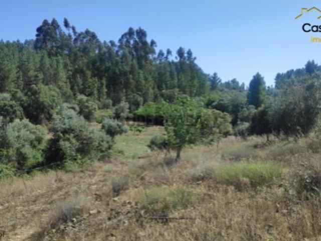 Terreno venda em Castelo Branco, Proença-a-nova
