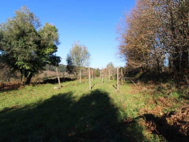 Terreno venda em Vila Nova De Cerveira, Viana Do Castelo