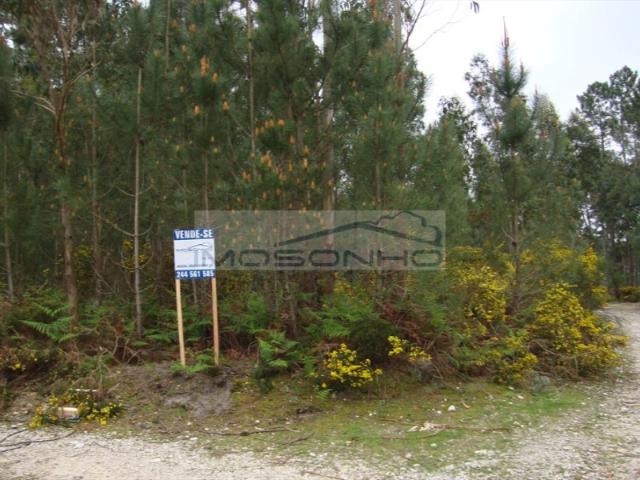 Terreno venda em Picassinos, Marinha Grande
