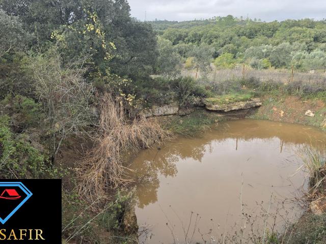 Terreno venda em Rego Da Murta, Santarém