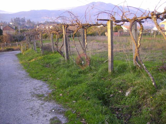 Terreno venda em Monção, Viana Do Castelo