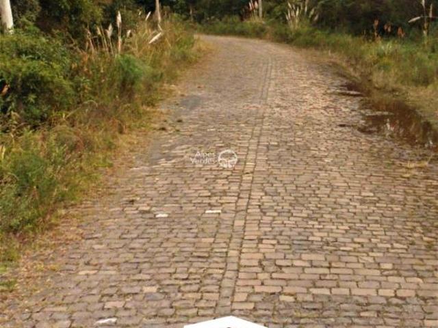 Terreno venda em Região Geográfica Imediata de Caxias do Sul, Canela