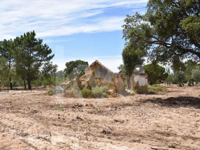 Terreno venda em Grândola, Setúbal