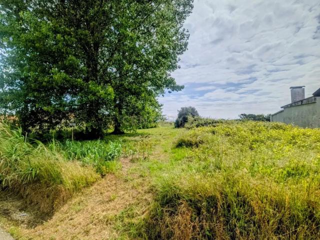 Terreno venda em Oliveira Do Bairro, Aveiro