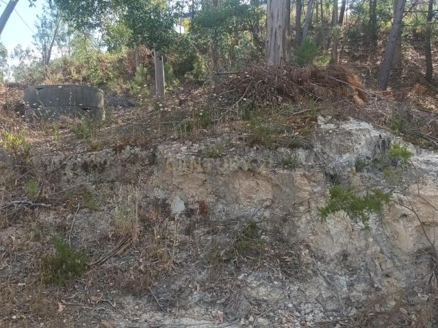 Terreno venda em Soutocico, Leiria