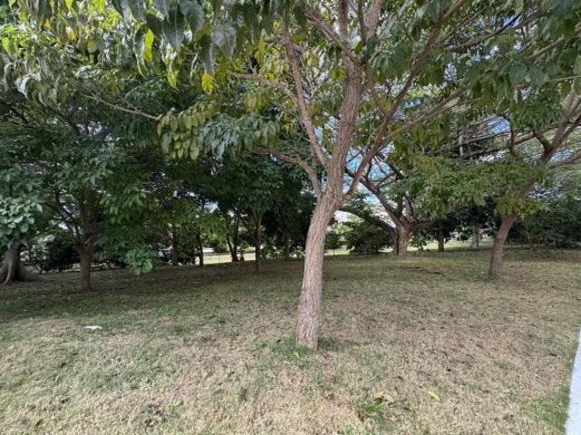 Terreno en venta en Centro, Tabasco