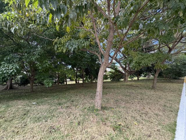 Terreno en venta en Tamulte de las Barrancas, Villahermosa