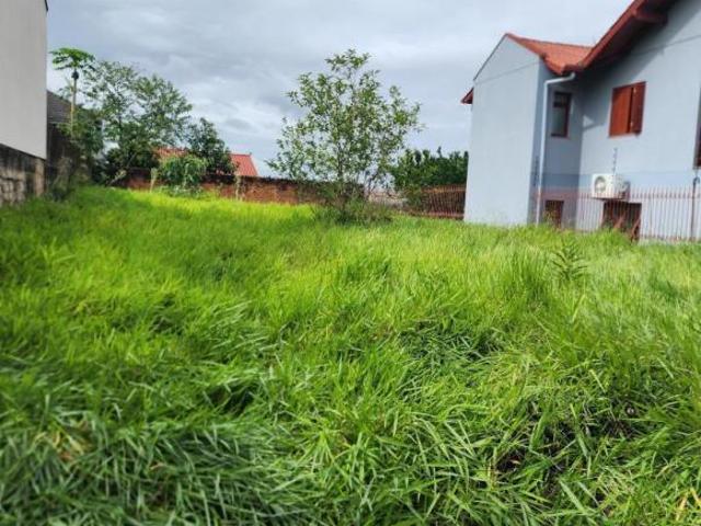 Terreno venda em Região Geográfica Imediata de Novo Hamburgo - São Leopoldo, Região Metropolitana de Porto Alegre