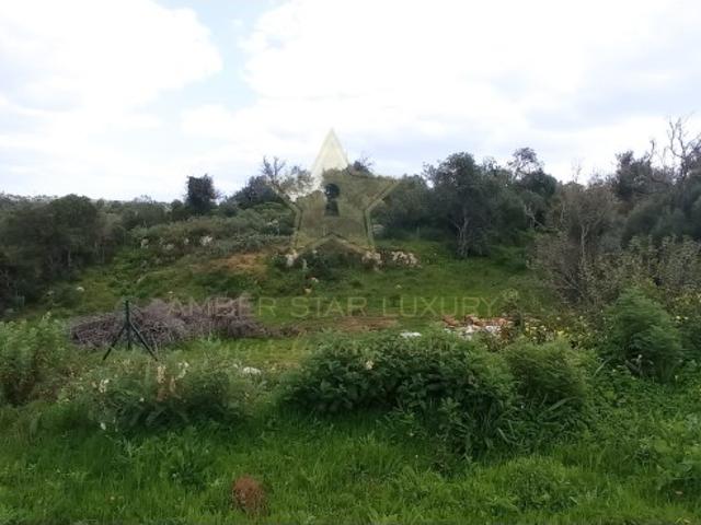 Quinta venda em Albufeira, Faro