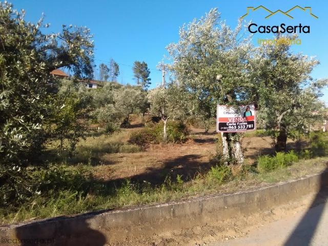 Terreno venda em Castelo Branco, Proença-a-nova