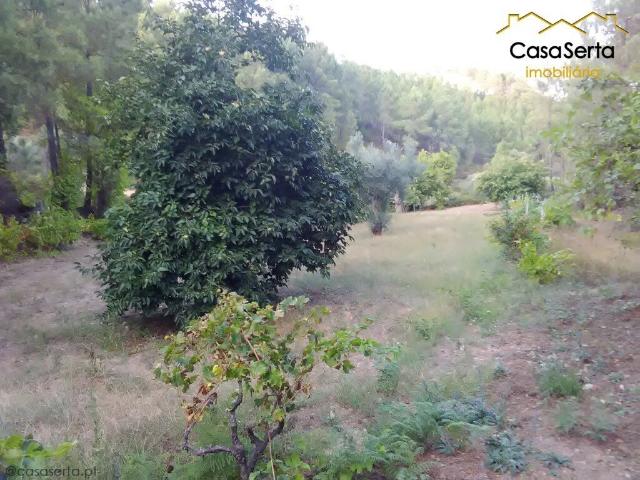 Terreno venda em Castelo Branco, Proença-a-nova