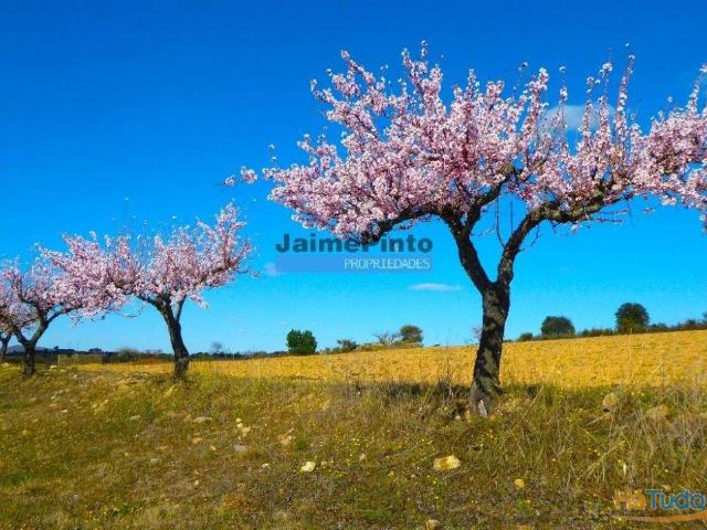Terreno venda em Guarda, Figueira De Castelo Rodrigo