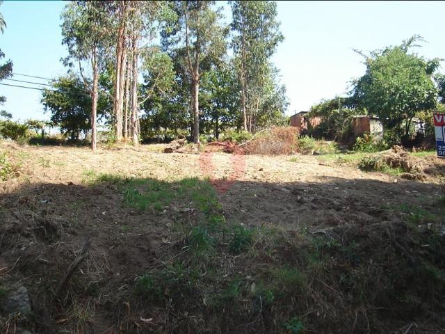 Terreno venda em Melgaço, Viana Do Castelo