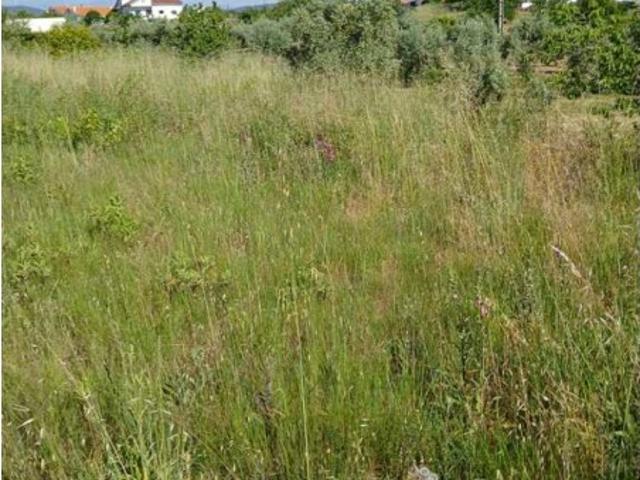 Terreno venda em Castelo Branco, Proença-a-nova