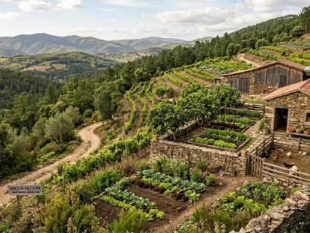 Terreno venda em Tábua, Coimbra