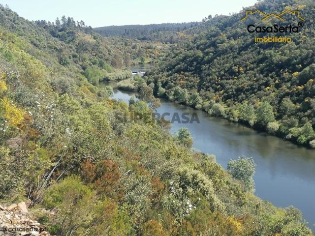 Terreno venda em Castelo Branco