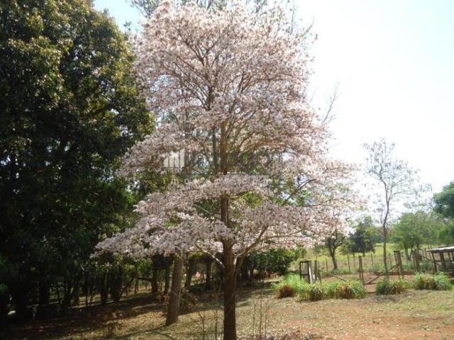 Terreno venda em Região Imediata de Bragança Paulista, Piracaia