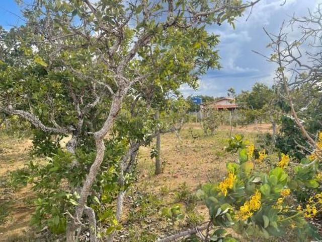Terreno venda em Região Geográfica Imediata de Belo Horizonte, Região Metropolitana de Belo Horizonte
