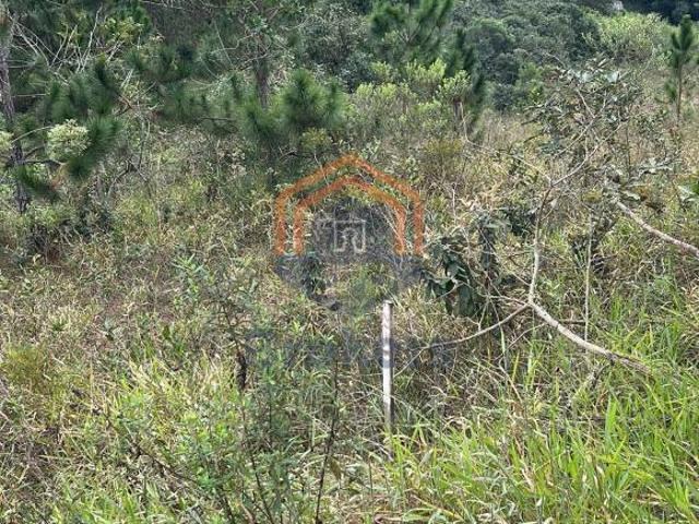 Terreno venda em Região Imediata de Jundiaí, Jarinu