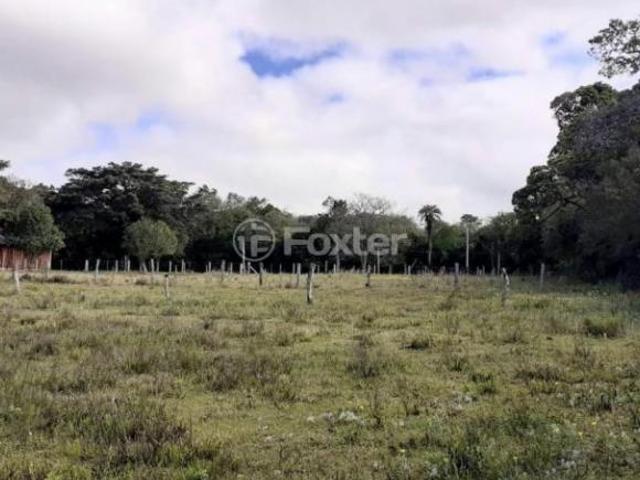 Terreno venda em Bonanza, Viamão