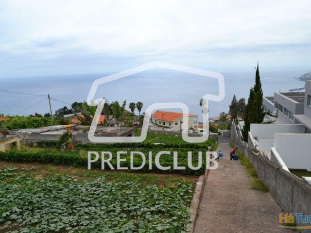 Terreno venda em Funchal, Ilha Da Madeira