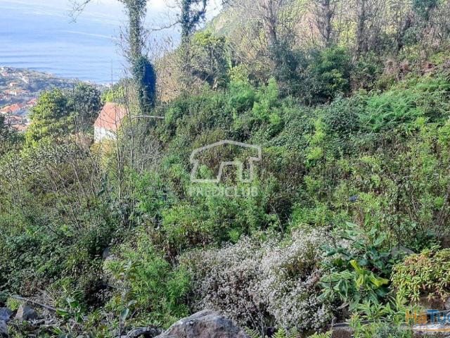 Terreno venda em São Vicente, Ilha Da Madeira
