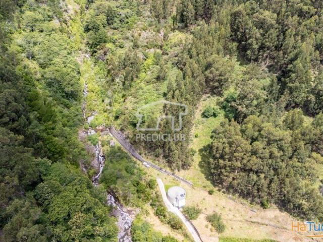 Terreno venda em Ribeira Brava, Ilha Da Madeira