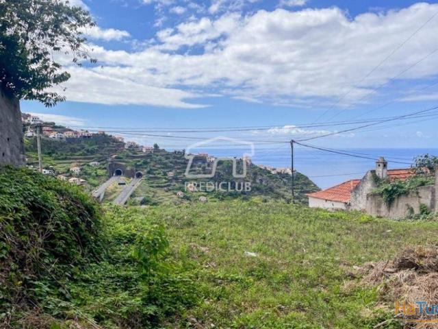 Terreno venda em Ribeira Brava, Ilha Da Madeira