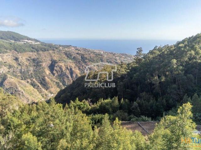 Terreno venda em Ribeira Brava, Ilha Da Madeira