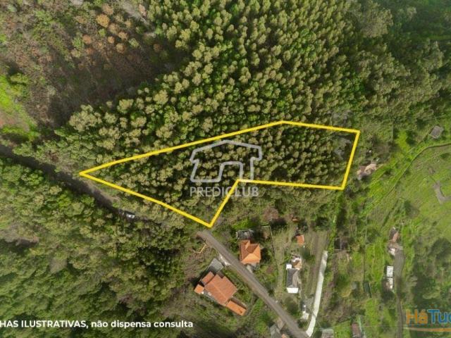 Terreno venda em Santa Cruz, Ilha Da Madeira