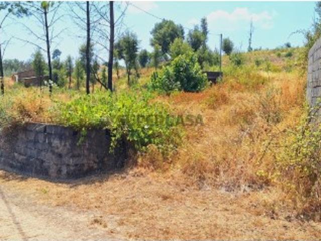 Terreno venda em Castelo Branco