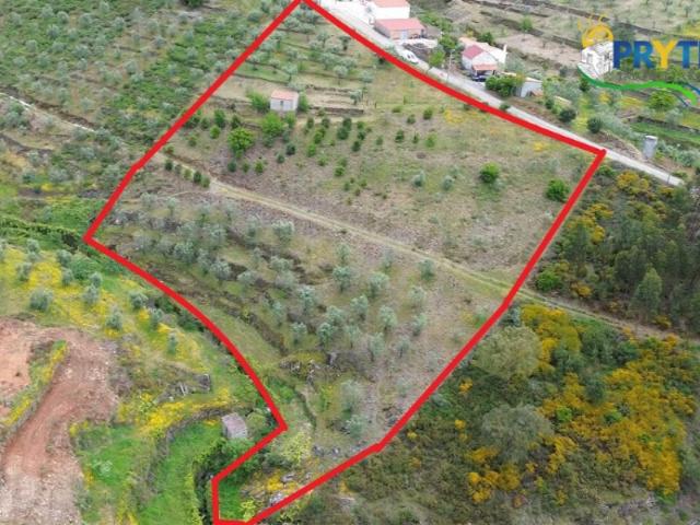 Terreno venda em Castelo Branco, Cumeada