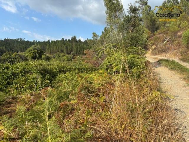 Terreno venda em Castelo Branco, Cumeada