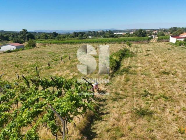 Terreno venda em Sabrosa, Vila Real