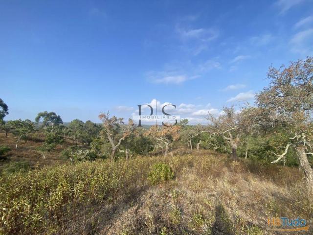 Terreno venda em Grândola, Setúbal