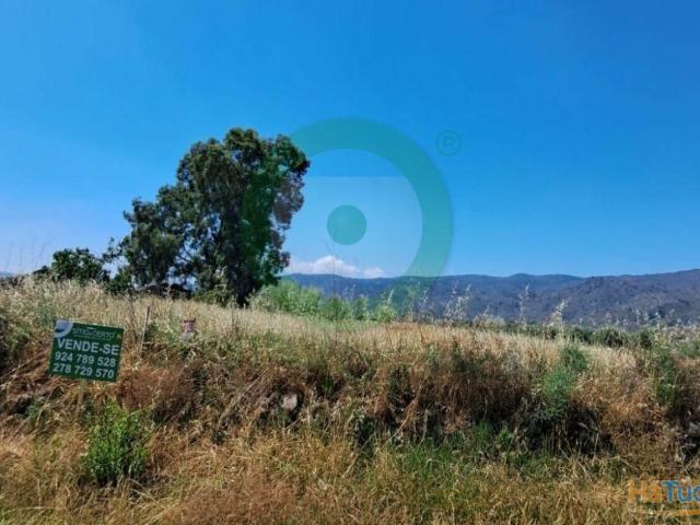 Terreno venda em Torre De Moncorvo, Bragança