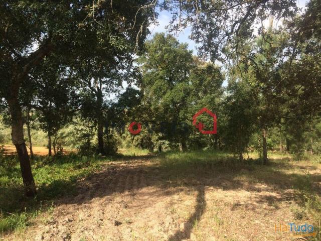 Terreno venda em Tomar, Santarém