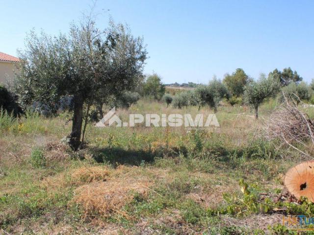 Terreno venda em Castelo Branco