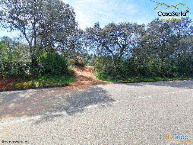 Terreno venda em Tomar, Santarém