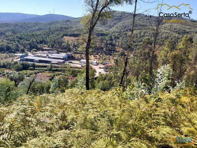 Terreno venda em Castelo Branco, Oleiros