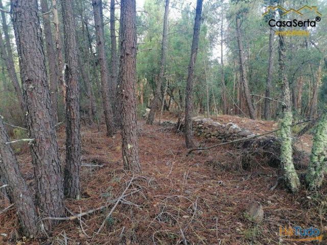 Terreno venda em Castelo Branco, Proença-a-nova