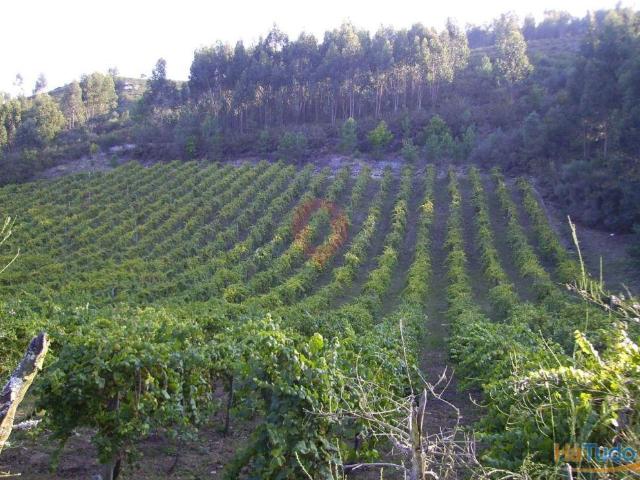Terreno venda em Monção, Viana Do Castelo
