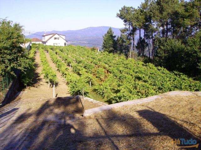Terreno venda em Melgaço, Viana Do Castelo