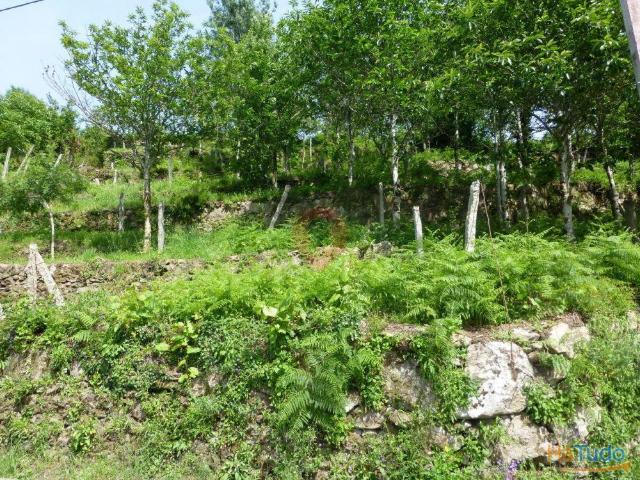 Terreno venda em Melgaço, Viana Do Castelo