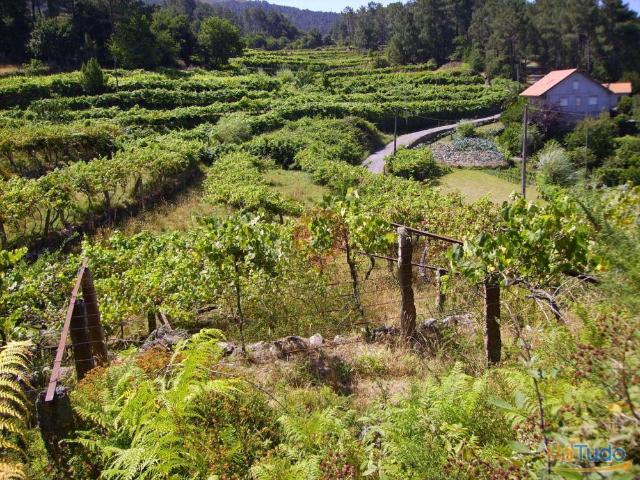 Terreno venda em Monção, Viana Do Castelo