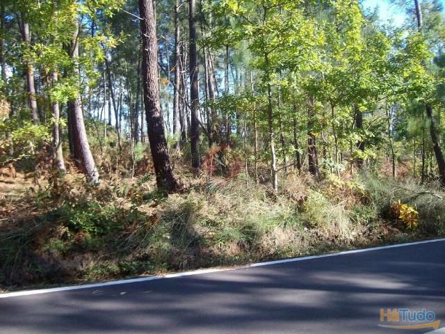 Terreno venda em Monção, Viana Do Castelo