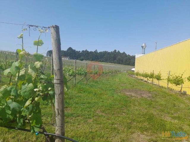 Terreno venda em Monção, Viana Do Castelo