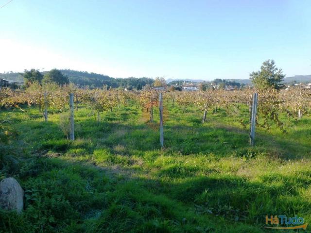 Terreno venda em Monção, Viana Do Castelo