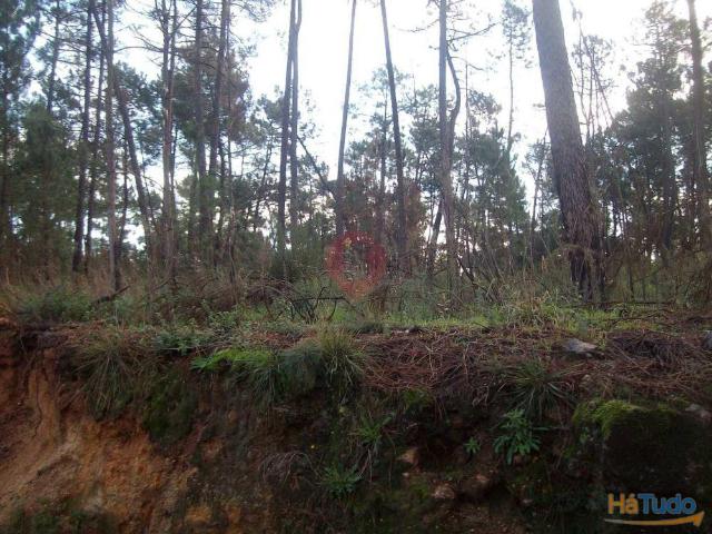 Terreno venda em Monção, Viana Do Castelo